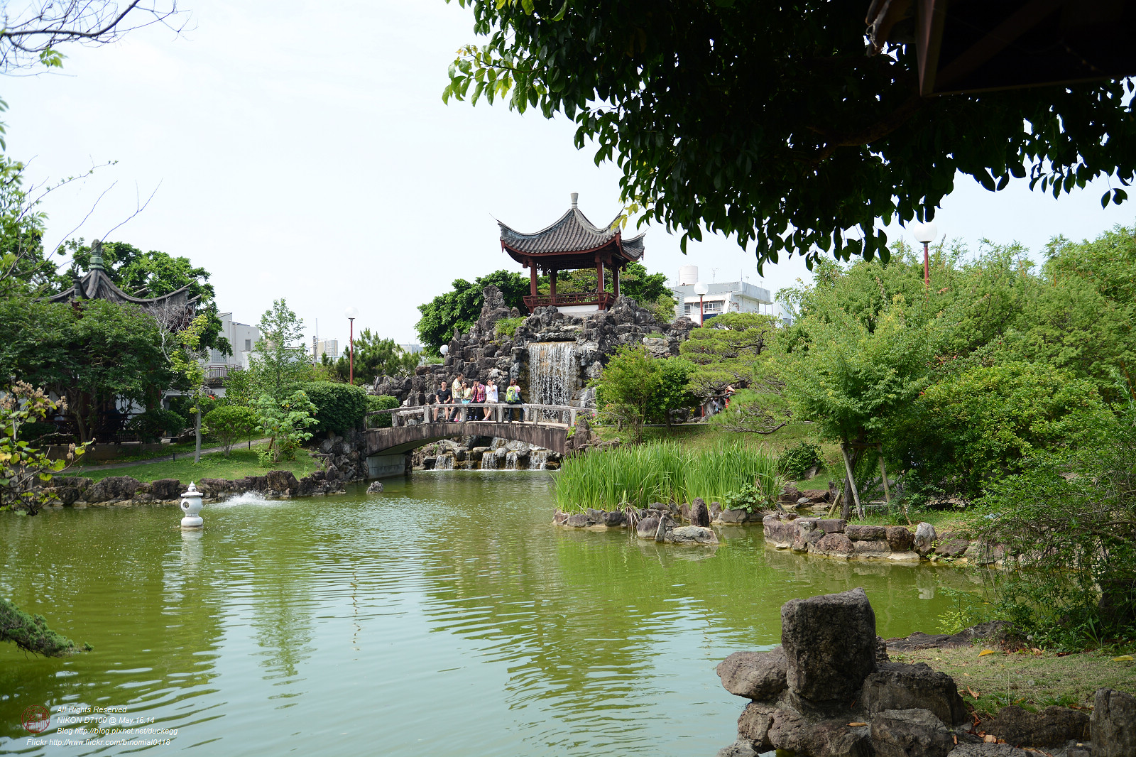 DSC_3450.jpg